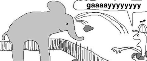 meme gaaaay|Guy Throwing Rocks at an Elephant .